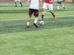 KPNP,杯跆拳道大,奖赛在长三,IM电竞网页版下载,IM电竞网页版官网,IM电竞网页版登录,IM电竞网页版app