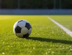 年足球迷不,可错过的免,费观赛,IM电竞网页版下载,IM电竞网页版官网,IM电竞网页版登录,IM电竞网页版app