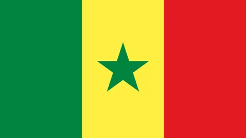 IM电竞网页版app 资讯 095903 v48